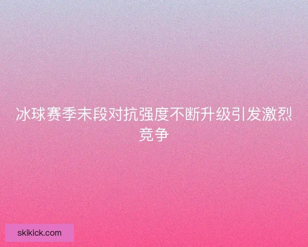 冰球赛季末段对抗强度不断升级引发激烈竞争